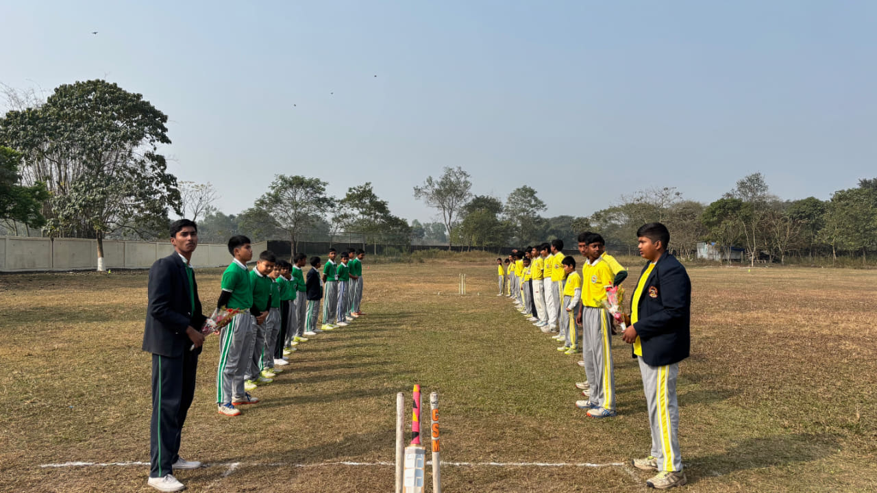 Cricket