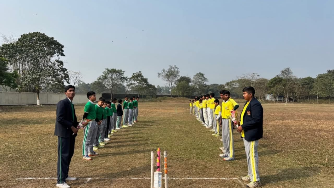 Cricket